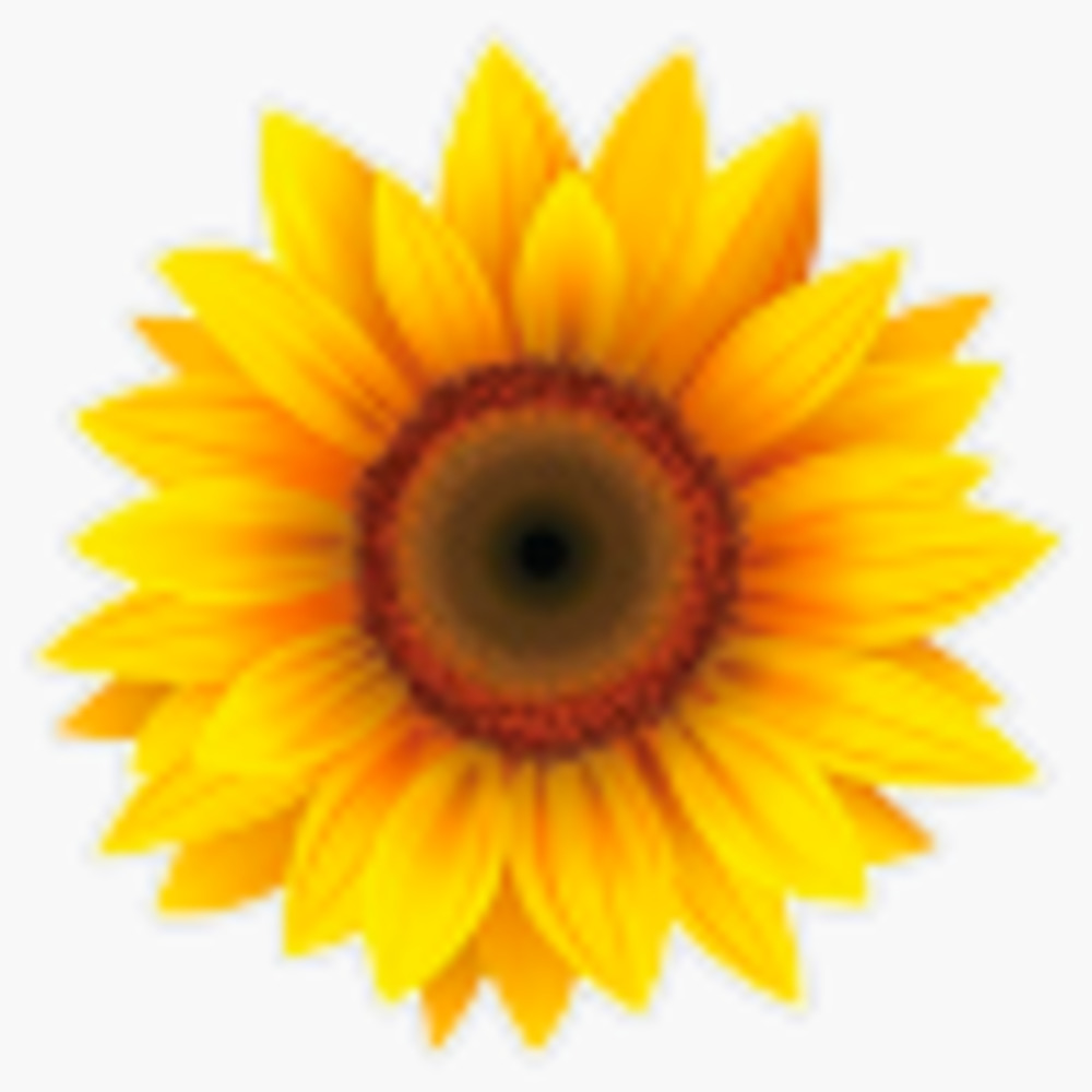 Meet your Posher, Sunflower Bid House
